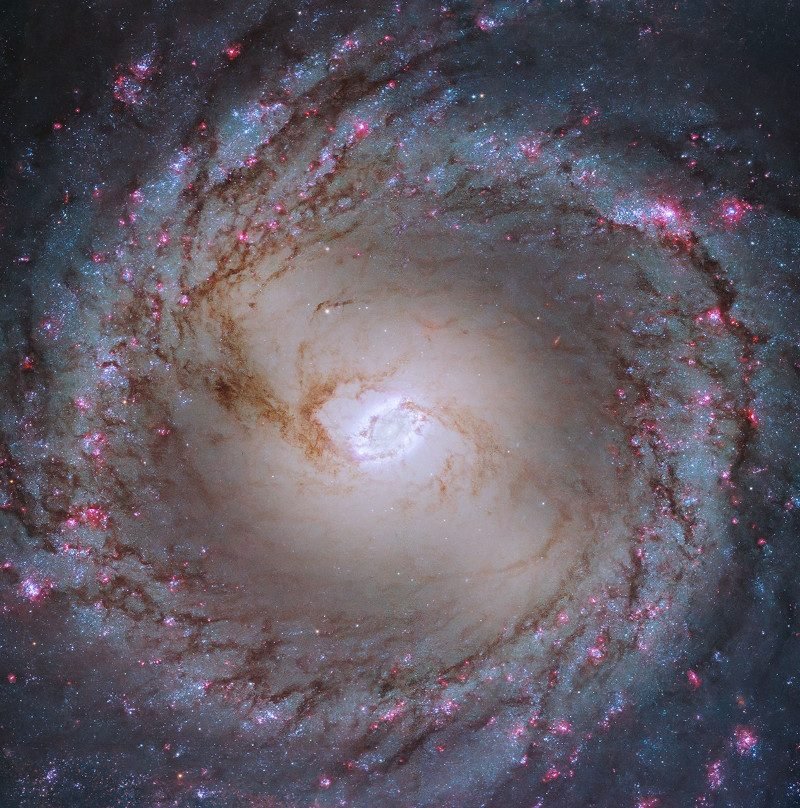 Messier 95

This beautiful image of Messier 95...